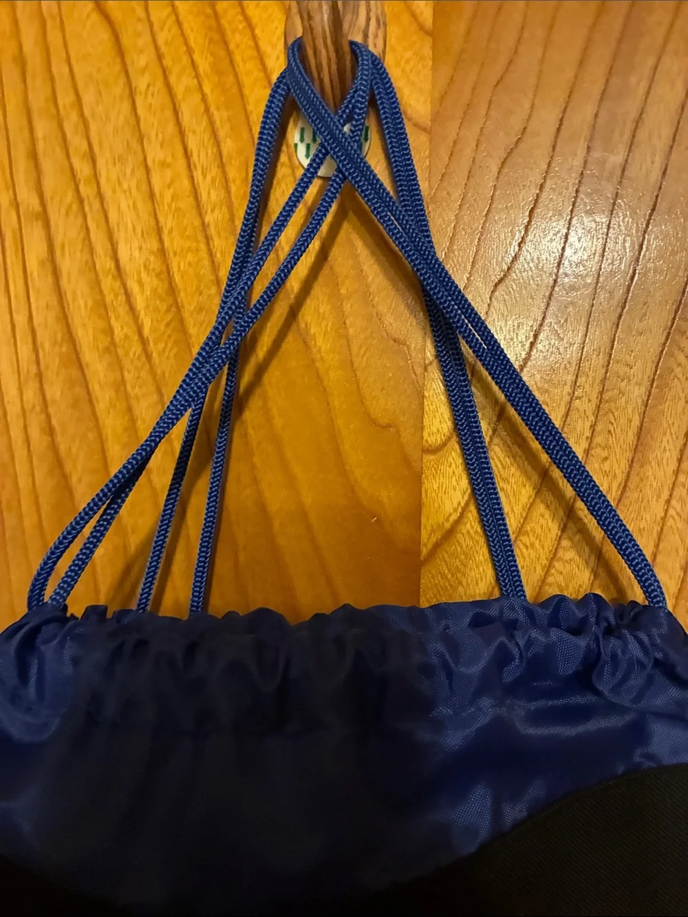 Finding Dory Kids Drawstring Bag - Navy Blue-NWOT’s